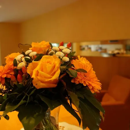 An Der Ilse Hotel